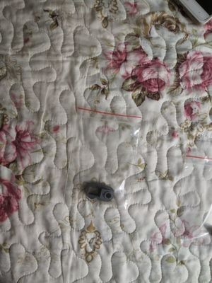 A032742-01 A032742 A229355 A236108 جلبة الضغط لـ Noritsu QSS 27/29/30/31/32/33/35/37 Minilabs المزود