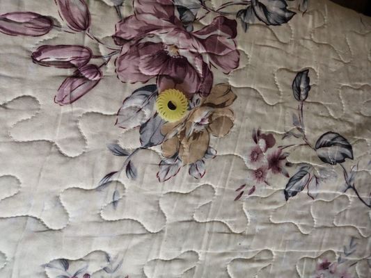 A058613 01 بكرة إخراج للأسنان المقطوعة 24 لـ NORITSU Qss2901 3101 3201 3300 3401،3701 Minilab المزود