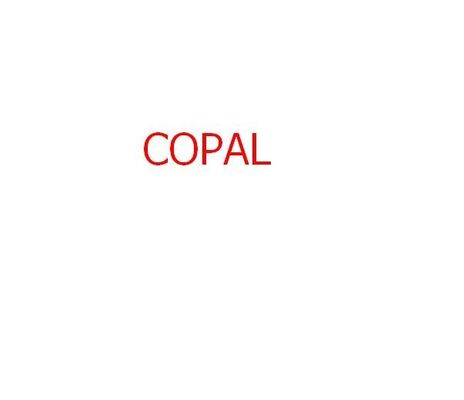 مرشح كيميائي لـ Copal 6030/6550 minilab 140x22x35mm المزود