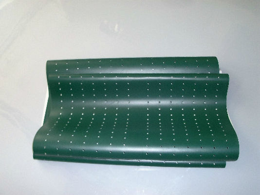 Poli Laserlab 3049 Digital Minilab Part Green Belt المزود